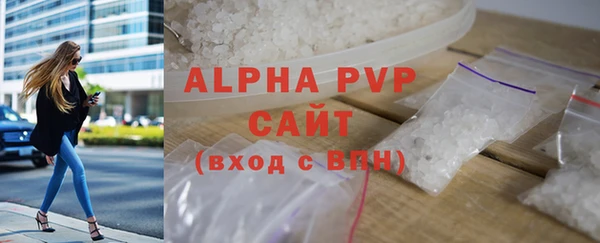 индика Баксан