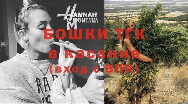 индика Баксан