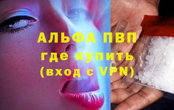 индика Баксан