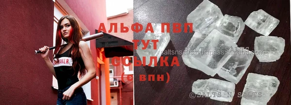 индика Баксан